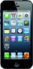 Apple iPhone 5 16GB - Салехард